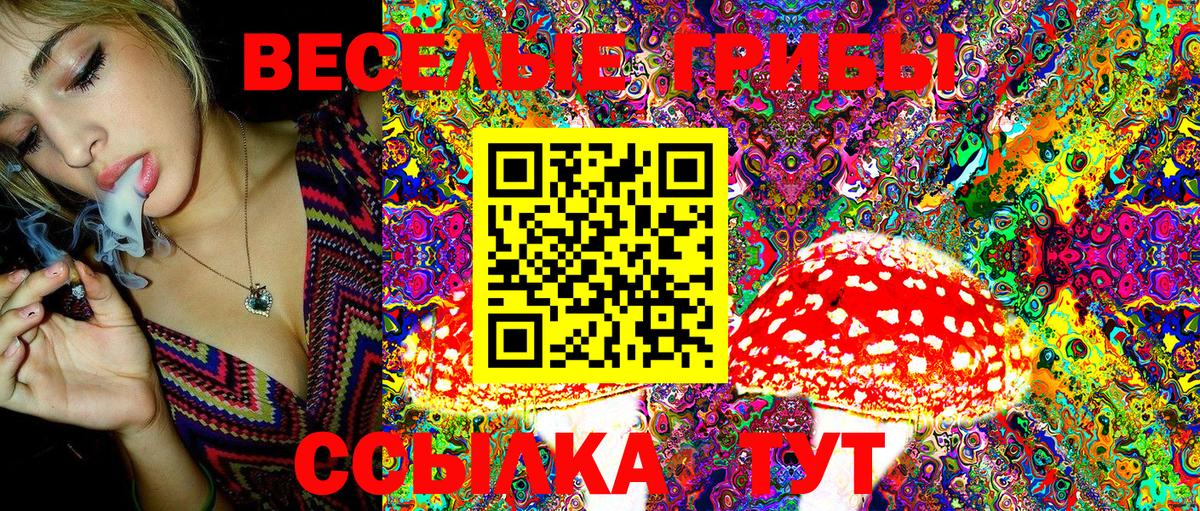 Галлюциногенные грибы GOLDEN TEACHER Коломна